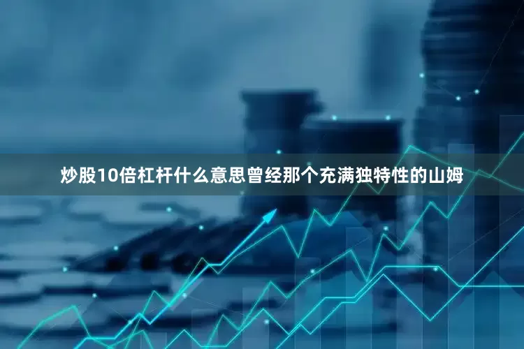 炒股10倍杠杆什么意思曾经那个充满独特性的山姆